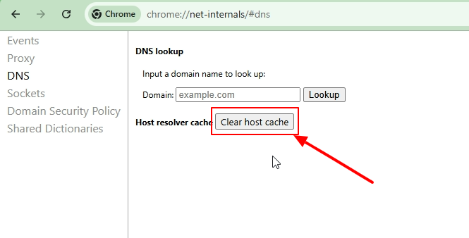 Chrome Net Internals DNS